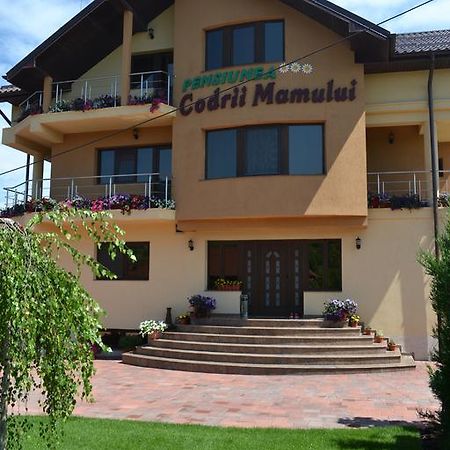 Pensiunea Codrii Mamului Lungesti エクステリア 写真